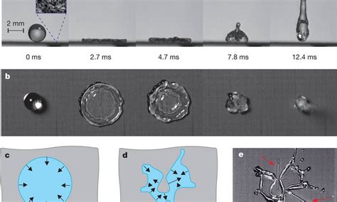  Yttrium-Stabilized Zirconia: Desvendando o Material que Redefine a Biocompatibilidade e a Resistência em Implantes Dentários!