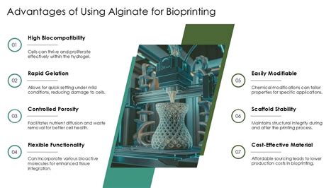  Alginate: Biocompatibilidade e Versatilidade para Aplicações Imunológicas!