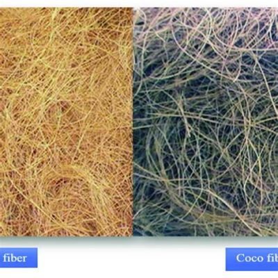 Jute Fiber Composites: Revolucionando a Construção Sustentável!