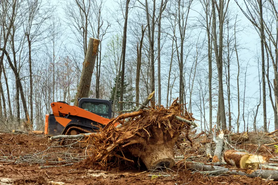 Land Clearing