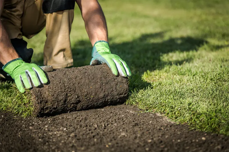 Sod Installation in West County St Louis Missouri